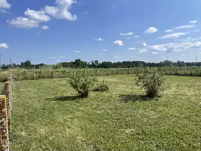 Terrain à bâtir, 900 m²