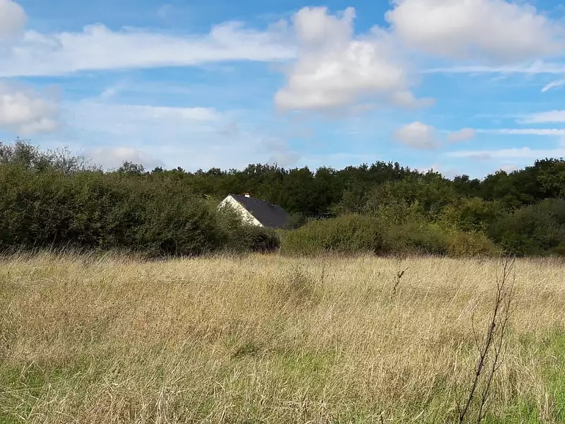 Terrain à bâtir, 550 m² - Neuillé-Pont-Pierre (37360)