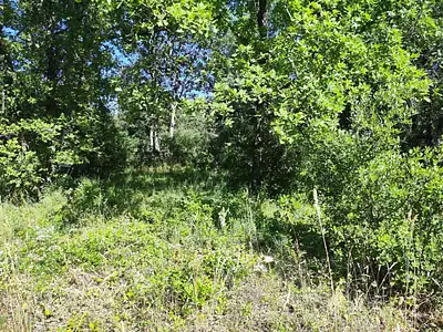 Terrain à bâtir, 1 397 m²