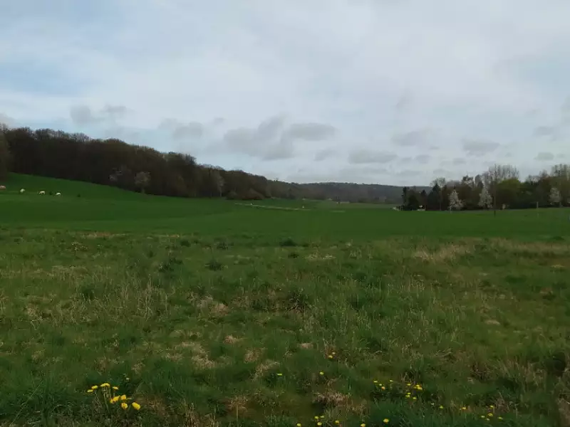 Terrain à bâtir, 890 m² - Saint-Vaast-d'Equiqueville (76510)