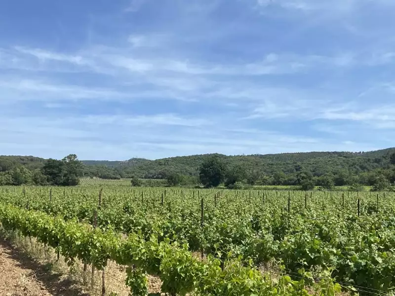 Maison neuve, 102 m² - Lézignan-Corbières (11200)