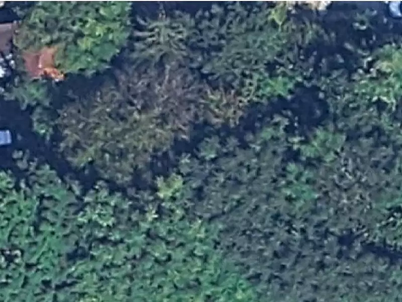 Terrain à bâtir, 1 428 m² - Corbeil-Essonnes (91100)