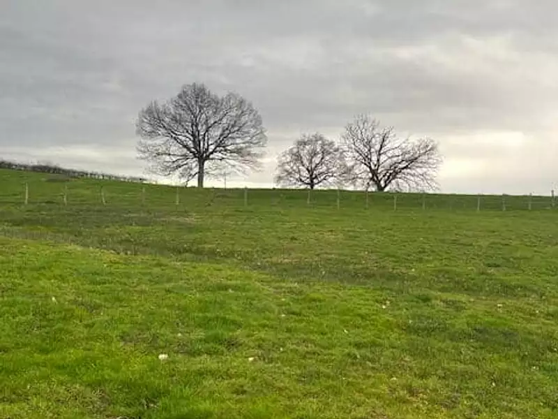 Terrain à bâtir, 1 089 m² - Gueugnon (71130)