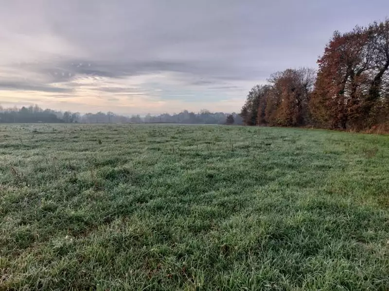 La Fée Morgane - Boisgervilly (35360)