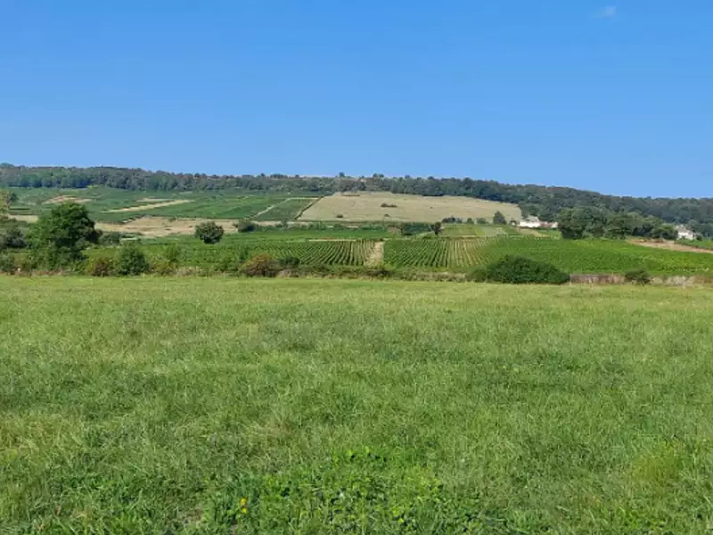 Maison neuve, 120 m² - Chenôves (71390)