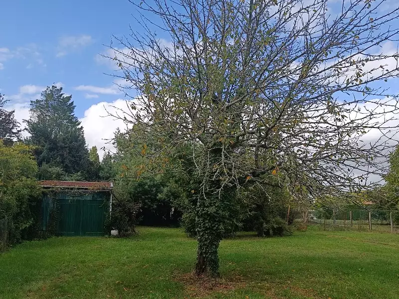 Terrain à bâtir, 800 m² - Villenave-d'Ornon (33140)