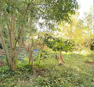 Terrain à bâtir, 300 m²