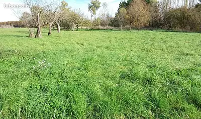 Terrain à bâtir, 1 400 m²