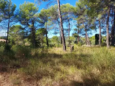 Terrain à bâtir, 596 m²