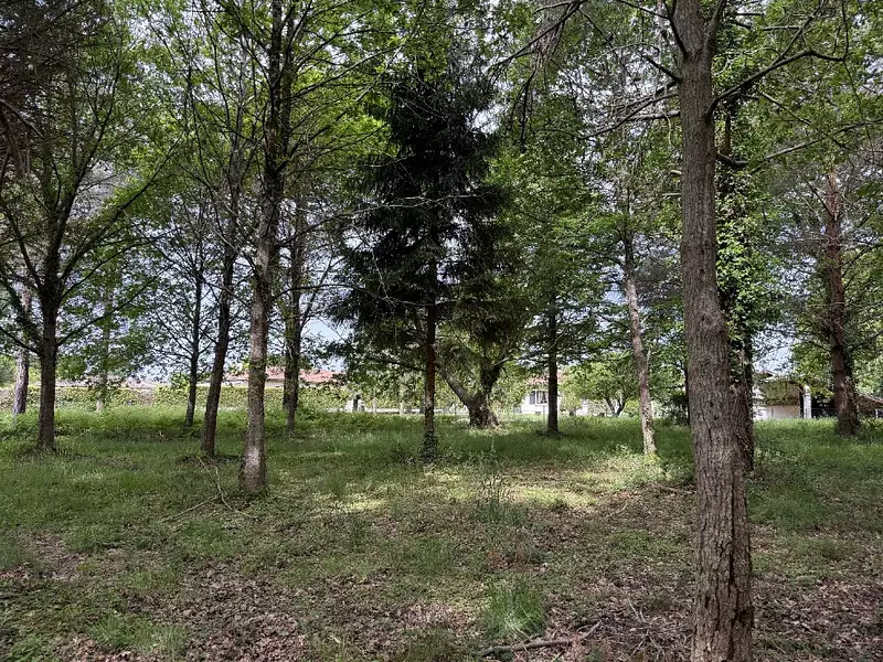 Terrain à bâtir, 900 m² - Mios (33380)