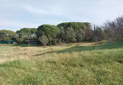 Terrain à bâtir, 692 m²