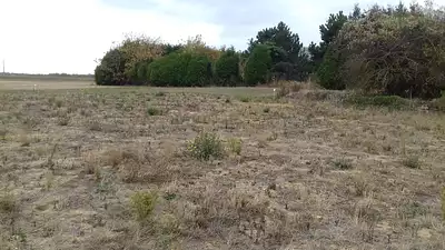 Terrain à bâtir, 1 250 m²