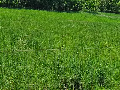 Terrain à bâtir, 985 m²