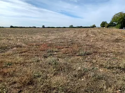 Terrain à bâtir, 609 m²