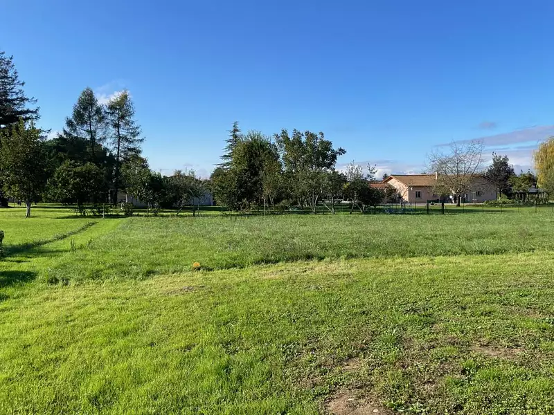 Terrain à bâtir, 1 200 m² - Replonges (01750)