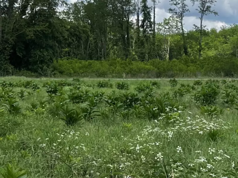 Terrain à bâtir, 940 m² - Landiras (33720)