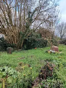 Maison neuve, 61 m²