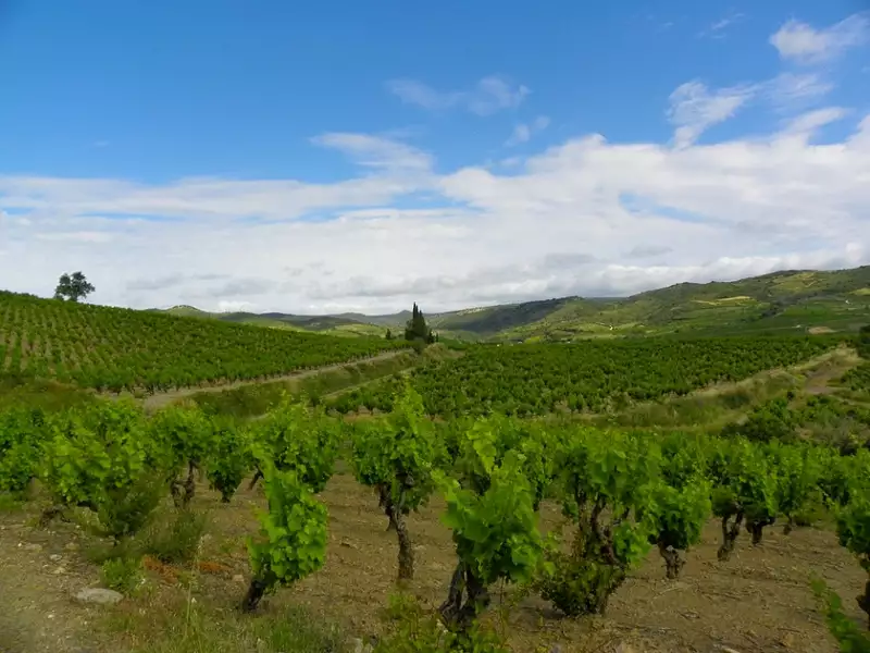 Terrain à bâtir, 700 m² - Conilhac-Corbières (11200)