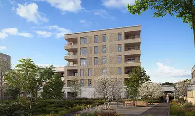 Oxyvia