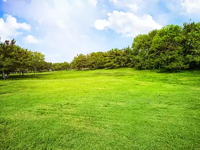 Terrain à bâtir, 383 m²