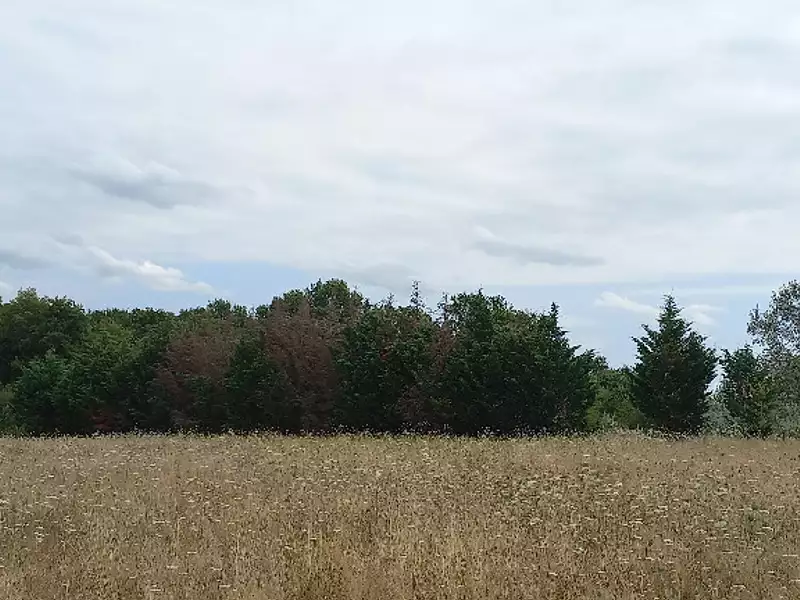 Terrain à bâtir, 2 210 m² - Eygurande-et-Gardedeuil (24700)