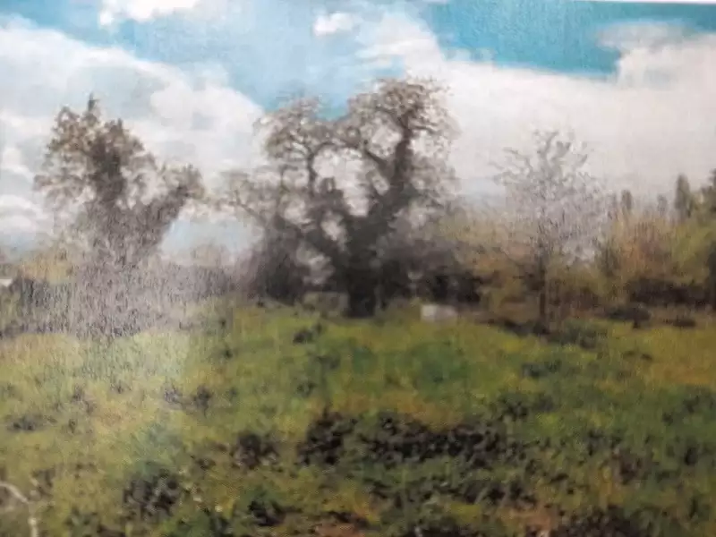 Maison neuve, 91 m² - Rozay-en-Brie (77540)