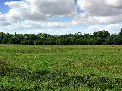 Terrain à bâtir, 435 m²