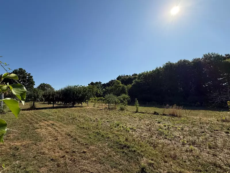 Terrain à bâtir, 312 m² - Aizenay (85190)