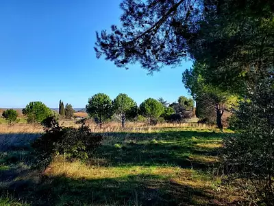 Maison neuve, 50 m²