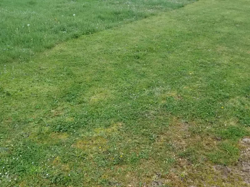 Terrain à bâtir, 600 m² - Saint-Germain-du-Puch (33750)