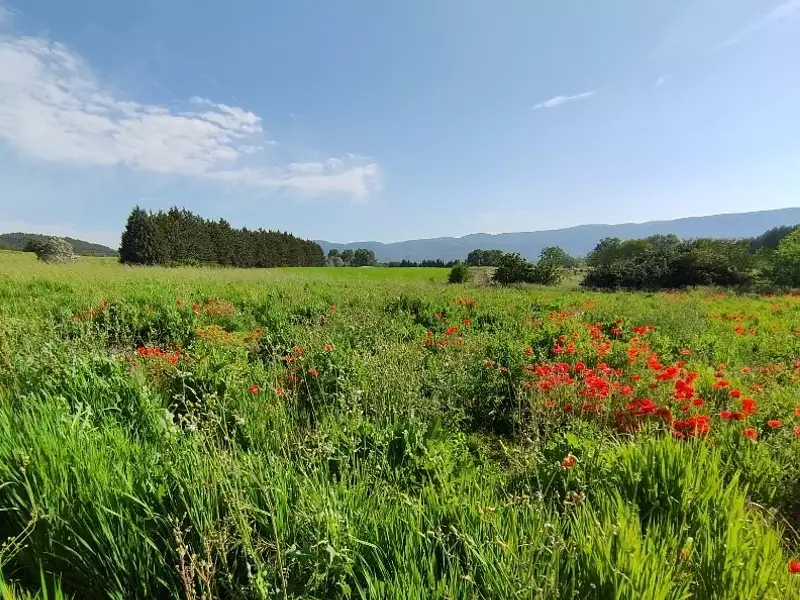Terrain à bâtir, 750 m² - Gargas (84400)