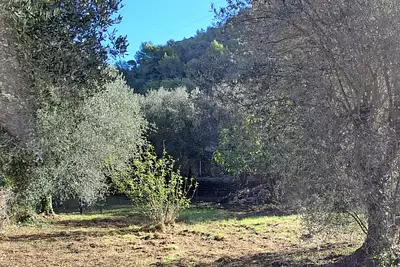 Terrain à bâtir, 600 m²