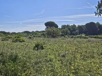 Maison neuve, 110 m²