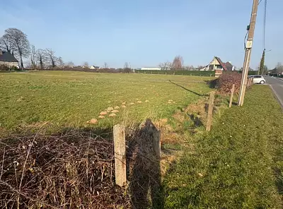 Maison neuve, 85 m²