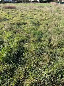 Maison neuve, 109 m²