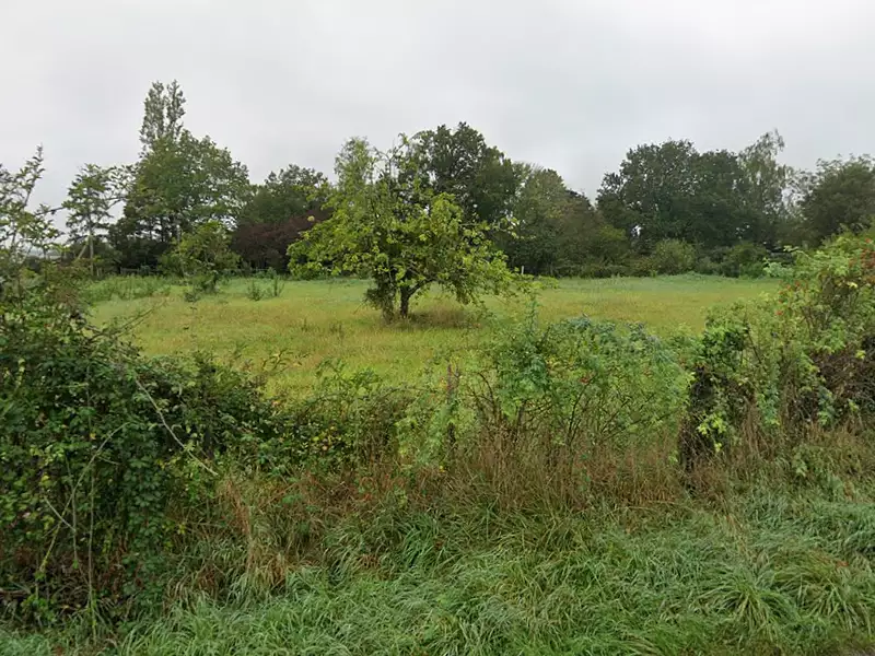 Terrain à bâtir, 1 234 m² - Chilleurs-aux-Bois (45170)