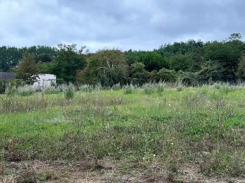 Maison neuve, 62 m² - Saint-Denis-la-Chevasse (85170)