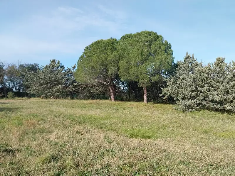 Terrain à bâtir, 400 m² - Roquebrune-sur-Argens (83520)