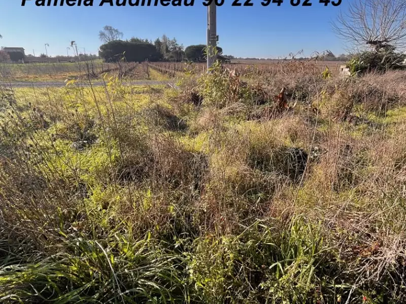 Terrain à bâtir, 500 m² - Castres-Gironde (33640)