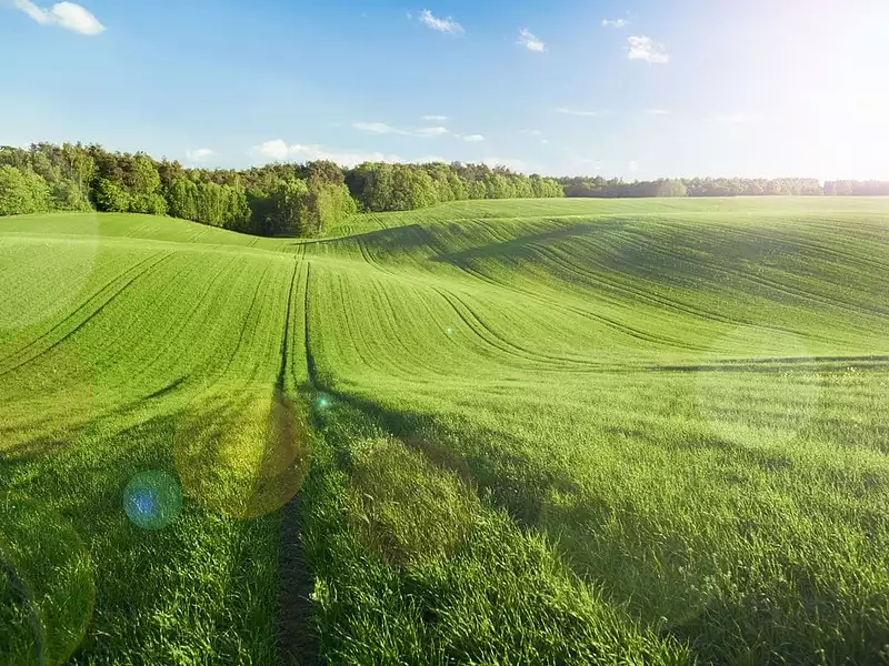 Terrain à bâtir, 981 m² - Rives-d’Autise (85240)