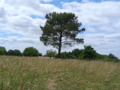 Maison neuve, 80 m²