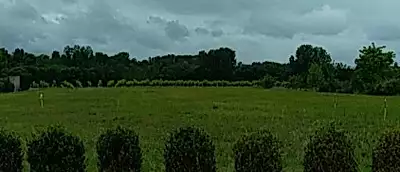 Terrain à bâtir, 2 600 m²