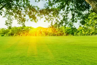 Maison neuve, 88 m²