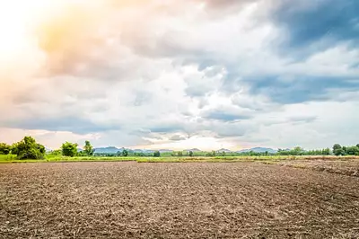 Maison neuve, 80 m²