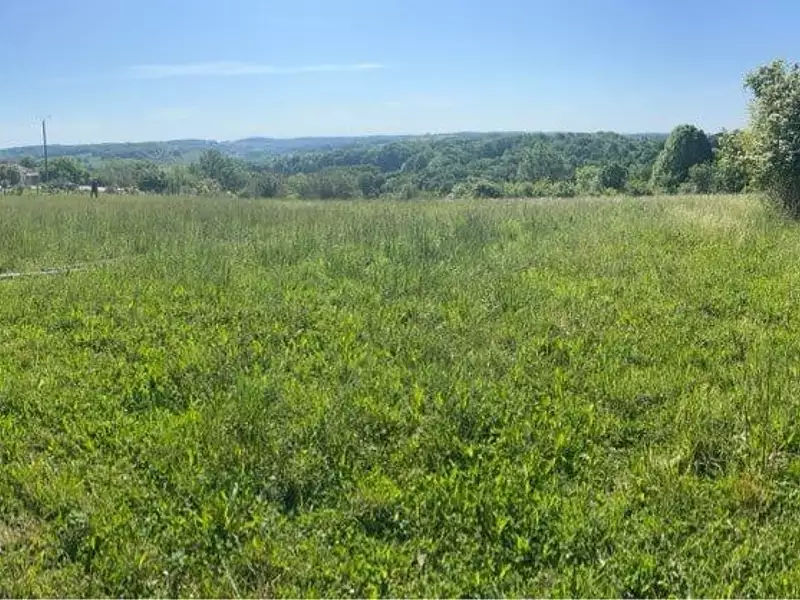 Terrain à bâtir, 4 497 m² - Saint-Martin-de-Ribérac (24600)