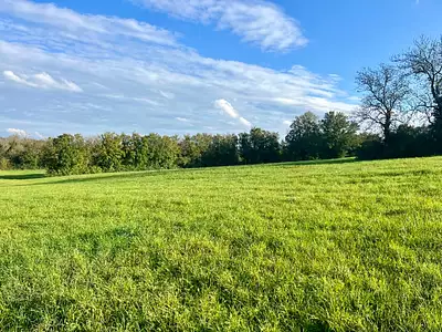 Maison neuve, 100 m²