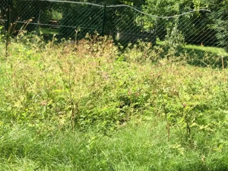 Terrain à bâtir, 350 m² - Juilly (77230)