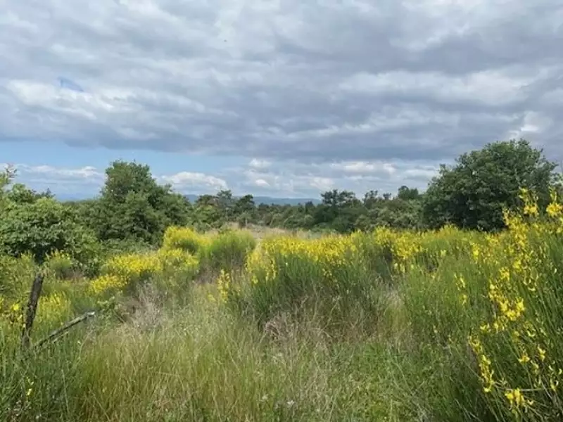 Terrain à bâtir, 3 606 m² - Montéléger (26760)