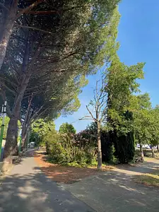 Maison neuve, 95 m²