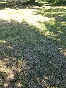 Terrain à bâtir, 575 m²